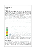 국가진출 전략 비교-9