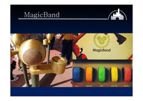 DISNEY LAND 디즈니랜드의 서비스마케팅 디즈니랜드의 MOT-18