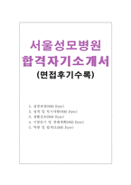 SEOUL서울성모병원간호사자소서 서울성모병원간호사자기소개서 합격자소서+성모병원면접 서서울성모병원자기소개서자소서 서울성모병원자소서자기소개서샘플-1