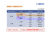 여성 타켓 과일맛 주류 하이주 마케팅전략-14