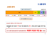 여성 타켓 과일맛 주류 하이주 마케팅전략-19