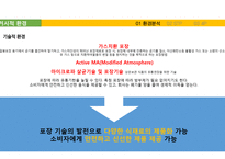 삼양라면 신제품 `조선의 00국밥 라면`시리즈 제품기획마케팅전략-10