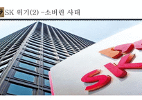 한국기업의 지배구조와 재벌개혁-15