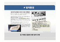 에너지 음료 시장분석과 에너지음료 신제품 런칭 마케팅전략-9