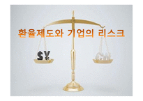 환율제도와 기업의 리스크-1