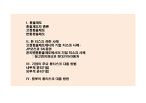 환율제도와 기업의 리스크-2
