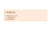 환율제도와 기업의 리스크-3