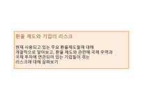환율제도와 기업의 리스크-4