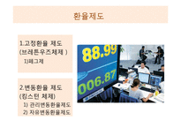 환율제도와 기업의 리스크-5