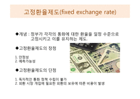 환율제도와 기업의 리스크-6