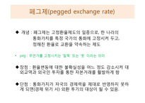 환율제도와 기업의 리스크-7