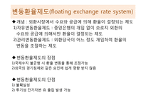 환율제도와 기업의 리스크-8