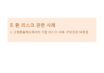 환율제도와 기업의 리스크-10