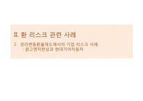 환율제도와 기업의 리스크-14
