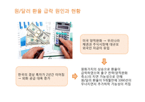 환율제도와 기업의 리스크-19
