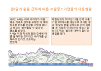 환율제도와 기업의 리스크-20