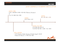HERMES 국제마케팅사례분석-5