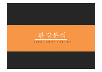 HERMES 국제마케팅사례분석-15