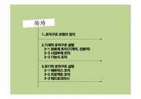 조직의 분류와 그 유형-2