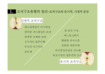 조직의 분류와 그 유형-4