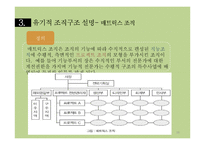 조직의 분류와 그 유형-16