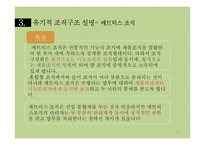 조직의 분류와 그 유형-17