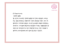 [에뛰드하우스 마케팅사례PPT] 에뛰드하우스 브랜드분석과 마케팅 SWOT,STP,4P,기타마케팅활동 분석과 에뛰드하우스 향후시사점연구-9