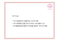 [에뛰드하우스 마케팅사례PPT] 에뛰드하우스 브랜드분석과 마케팅 SWOT,STP,4P,기타마케팅활동 분석과 에뛰드하우스 향후시사점연구-11