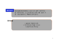 돈까스의 이해 레포트-20