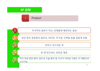 식사대용 캔음료 “성인食”신제품 런칭 전략기획서-19