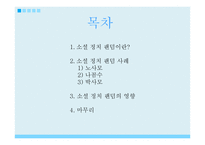 소셜 정치 팬덤과 한국의 민주주의-2