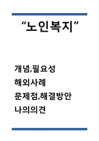 노인복지 개념과 필요성/노인복지 해외사례/현 노인복지 정책 문제점과 해결방안,느낀점-1