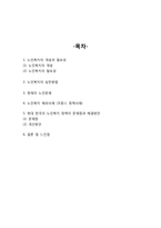 노인복지 개념과 필요성/노인복지 해외사례/현 노인복지 정책 문제점과 해결방안,느낀점-2