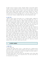 노인문제의 원인과 해결방안 ; 노인문제와 노인복지정책의 연관성 분석-6
