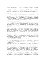 슈퍼비전의 기능과 역할 ; 슈퍼비전의 유형과 특성 분석-13