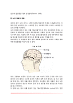 [영아기의 발달적 변화] 영아기 수면변화, 두뇌발달, 뇌의 발달과 분화-4