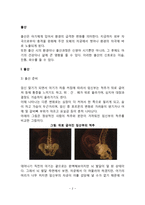 [출산] 출산준비, 출산과정, 대안분만법, 출산과정에서 발생하는 문제-2