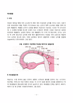 [태내발달] 태내기 발달(태내발달단계)-2