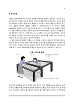 영유아기 정서발달(영아-유아 정서표현, 정서이해, 정소조절, 정서지능)-3