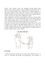[유아기 공격성발달] 유아의 공격성에 영향을 미치는 요인-2