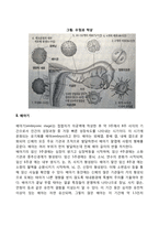 태내발달단계 레포트-2