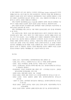 여성성폭력의 실태와 성폭력문제 해결을 위한 전략방향0K-11