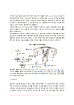 [부모되기] 부모됨의 동기(관점), 부모가 되기 위한 새로운 방법(인공수정, 시험관아기, 난자기증, 대리모)-5