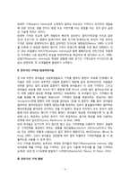 [유아기 기억발달] 기억의 과정과 구조, 유아기의 기억과 정보처리기술, 유아기 기억형태, 유아의 기억발달에 영향을 미치는 요인-4