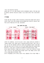 [유아기 인지발달] 유아의 정보처리능력 발달(유아기 주의발달, 기억발달, 마음의 이론)-3