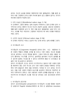 [유아기 인지발달] 전조작적 사고의 발달(전개념적 사고, 직관적 사고)-5