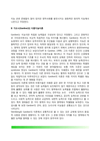 [지능이론] 스턴버그(Sternberg)의 삼원지능이론(삼두이론), 가드너(Gardner)의 다중지능이론, 감성지능이론-3