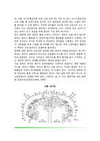 신생아의 신체적 특징(신체발달), 신생아 반사기능(반사운동의 종류), 신생아기 지각능력-9