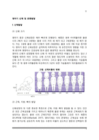 영아기 신체 및 운동발달(영아의 신체발달-운동발달)-2