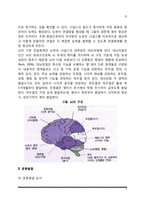 영아기 신체 및 운동발달(영아의 신체발달-운동발달)-5